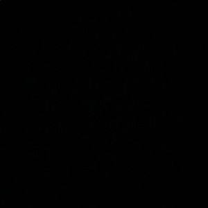 Meet your Posher, Sierra